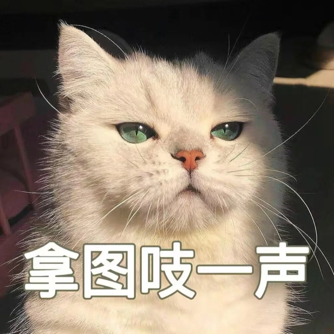 我才不会以爱之名困住任何人