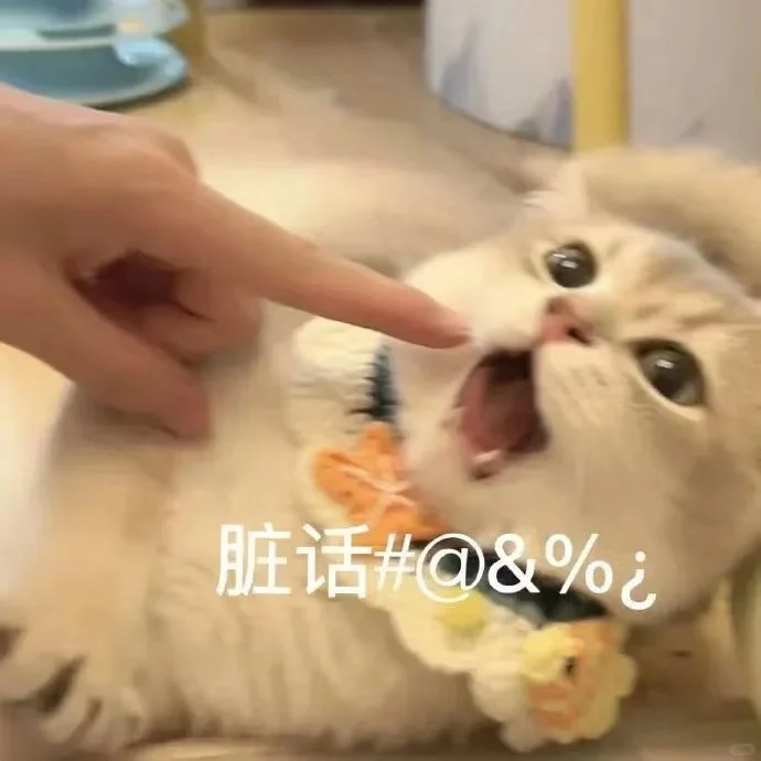 恰恰相反
