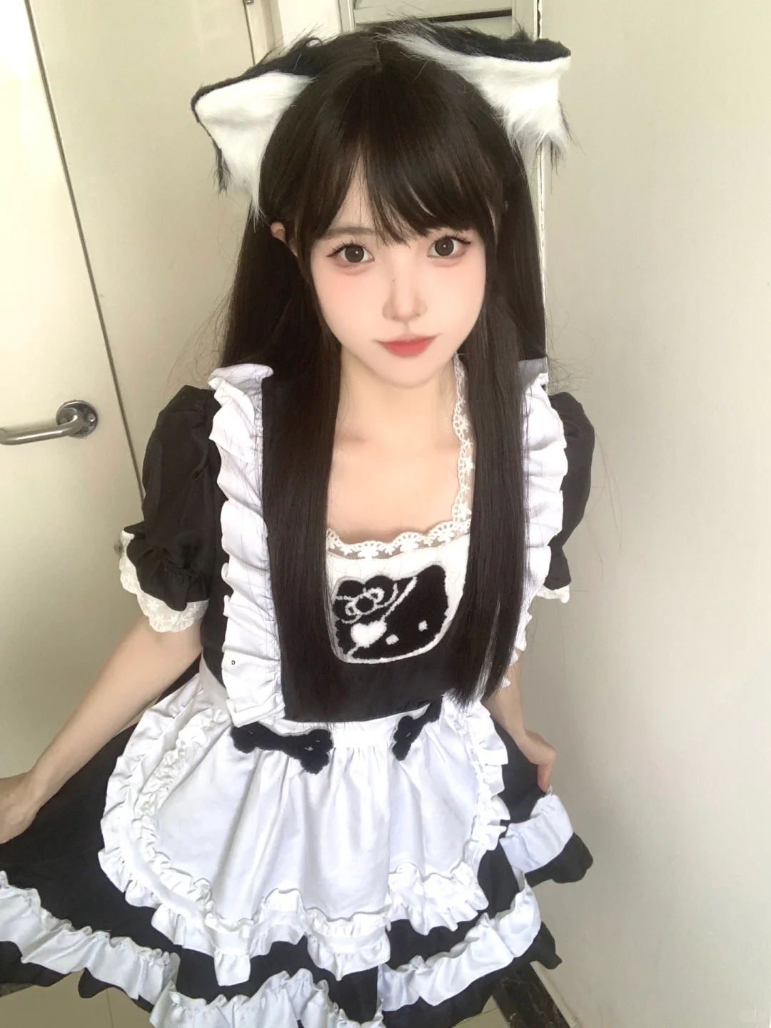猫猫探头