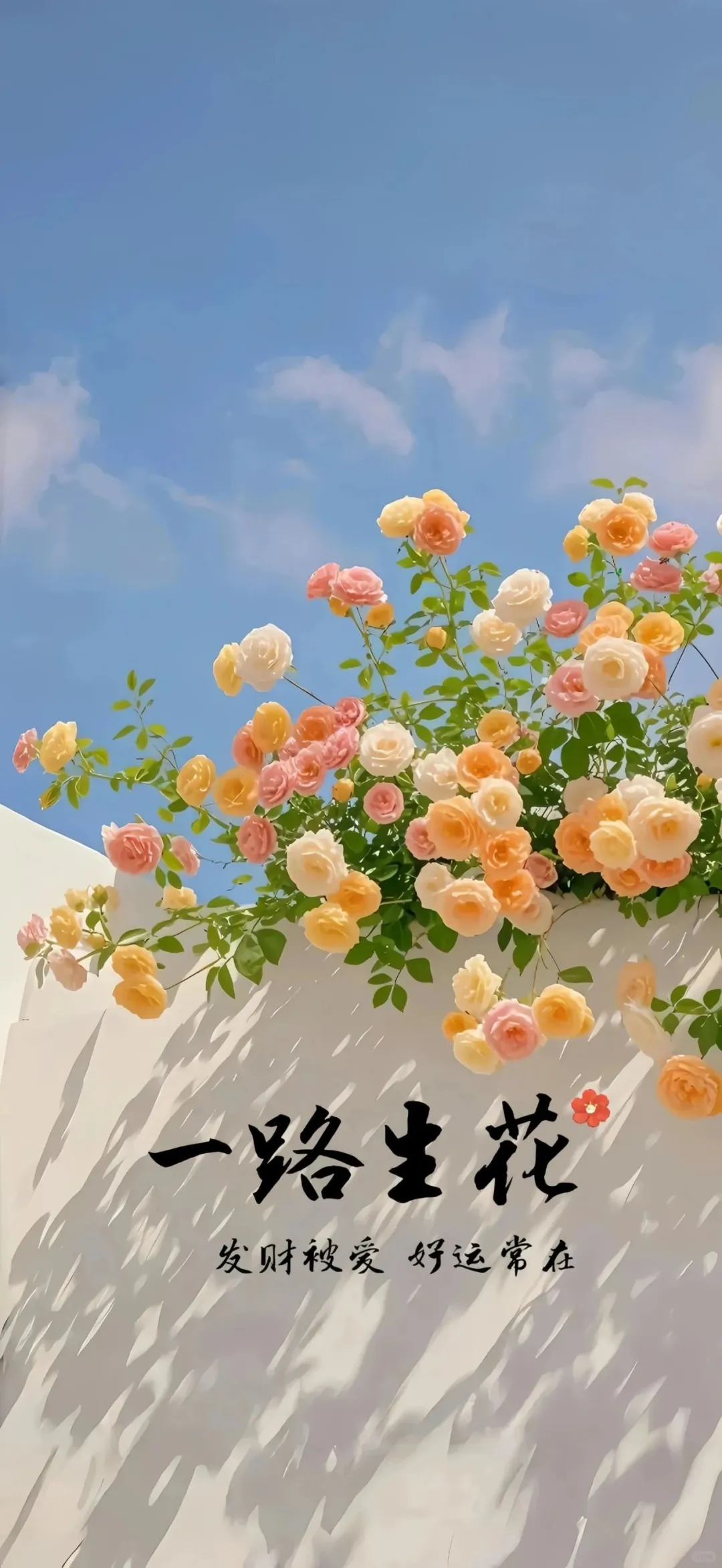 壁纸｜好好生活，皆如所愿