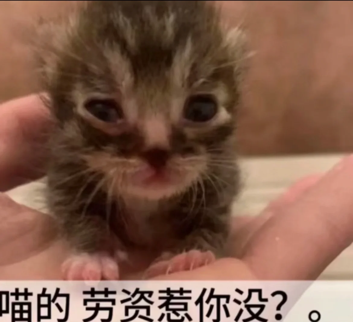求这种照片