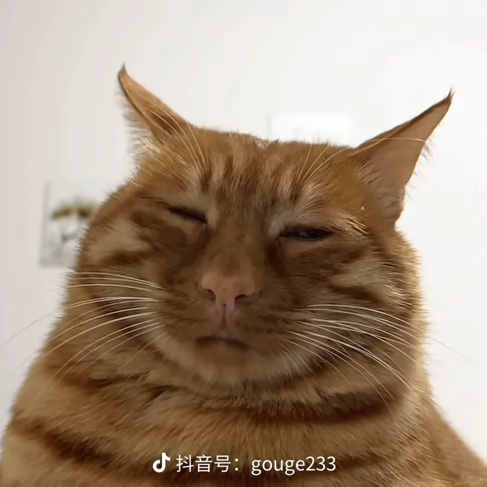 想找一个三观正常的女孩子
