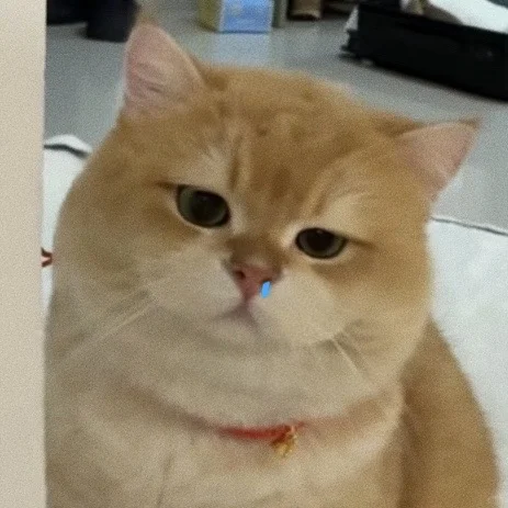 哼 臭ee