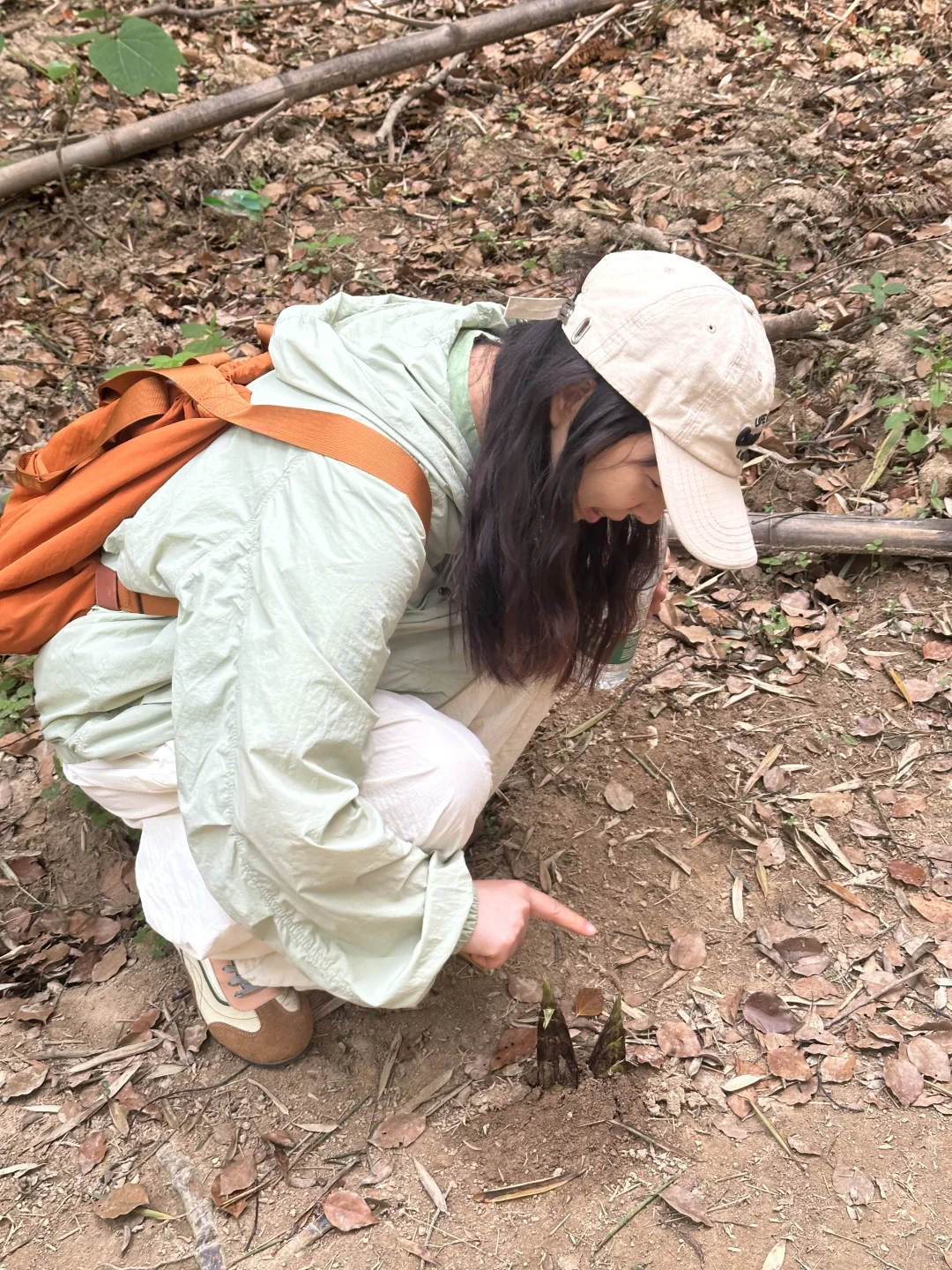 🌳⛰️今日份登山ootd
