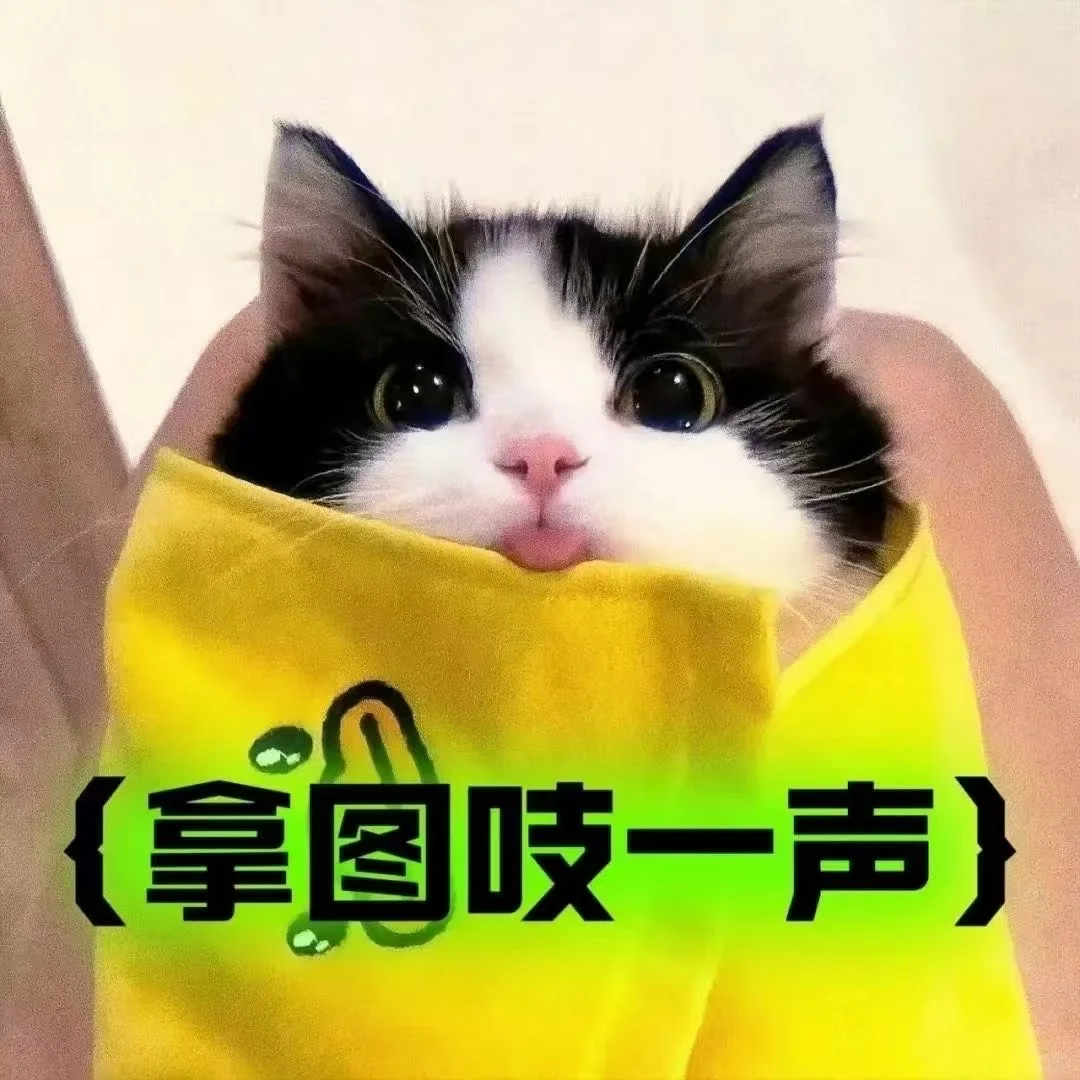 𝐒𝐡𝐚𝐫𝐞｜ 成熟女人该用的头像