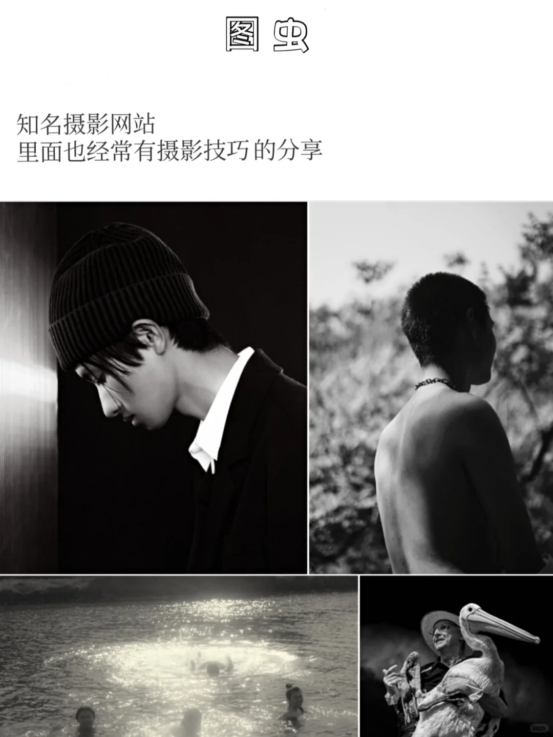 审美提高|摄影师必看网站推荐