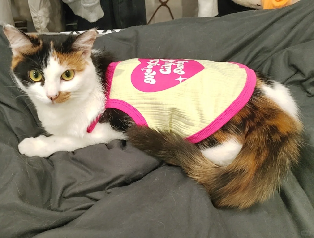 性感女郎