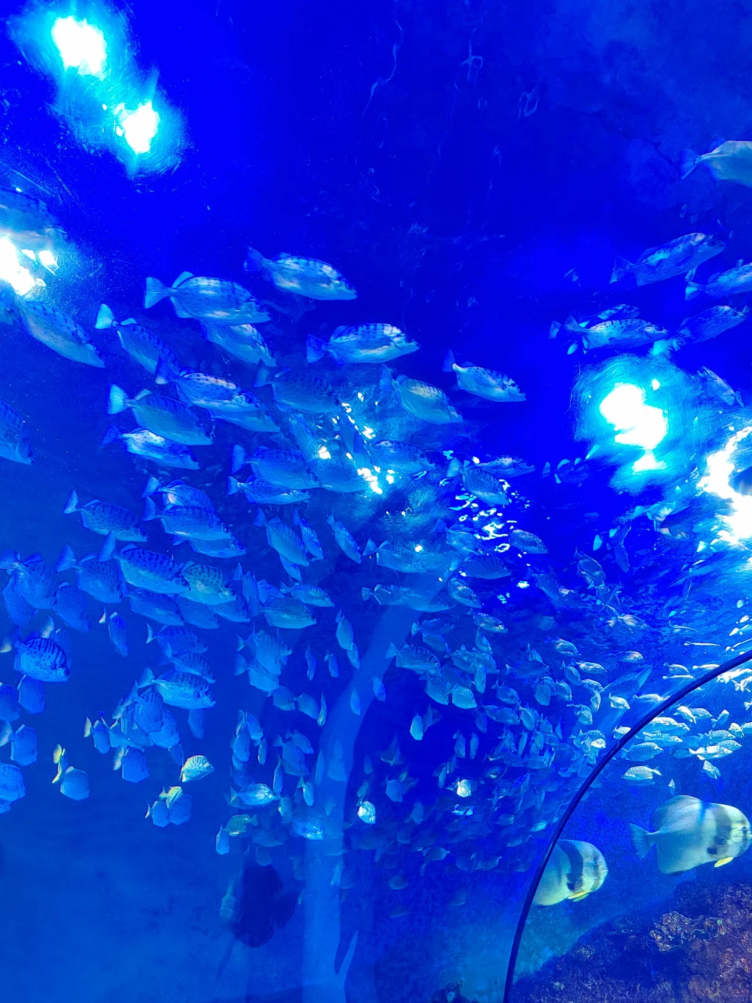 天气好的话，就出门约会吧。