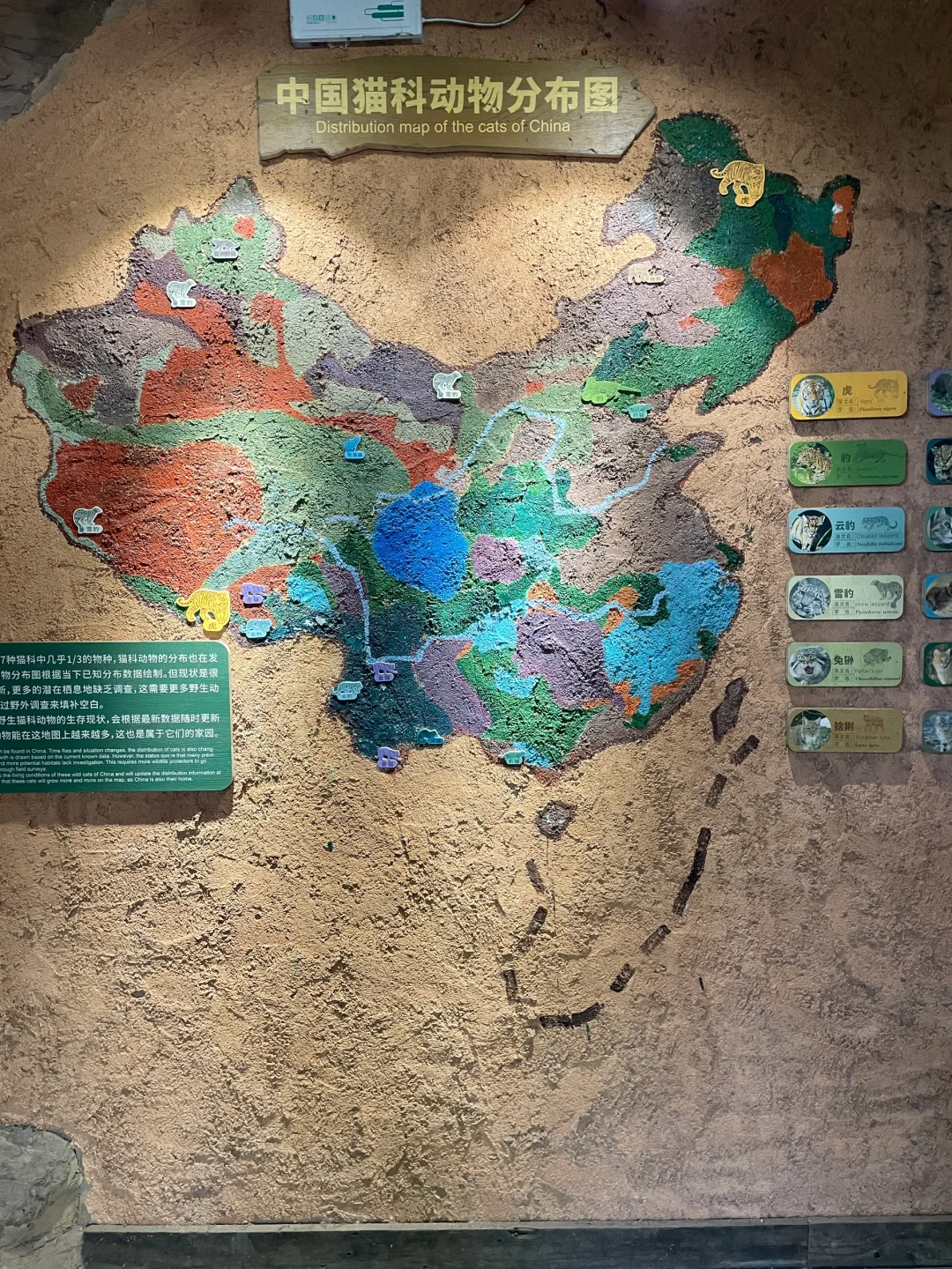 copy了璐璐的穿搭