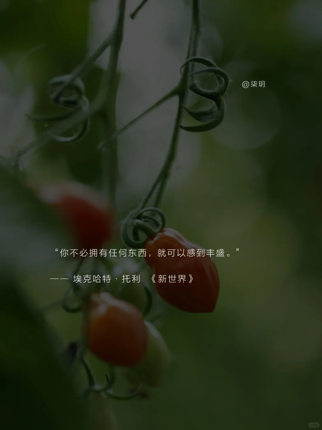 五月｜且忙，且满，且安。