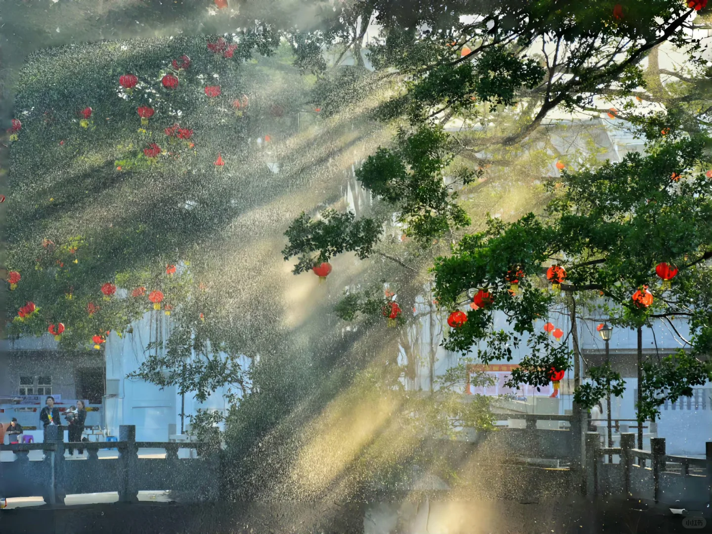 🌿iPad壁纸1.0