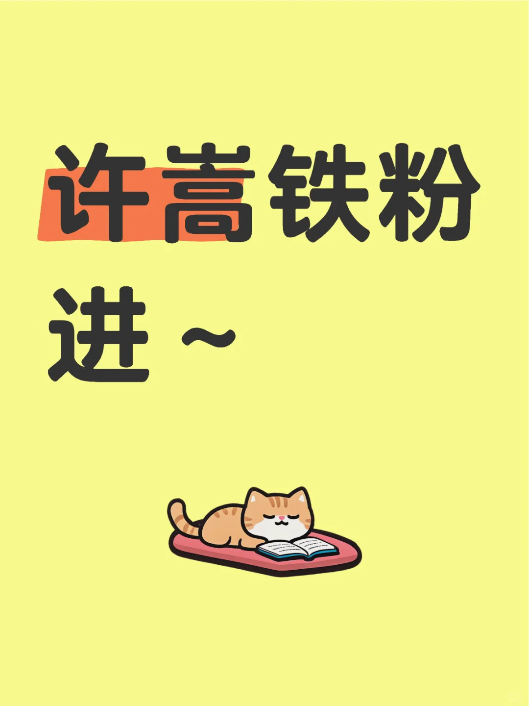 许嵩铁粉进