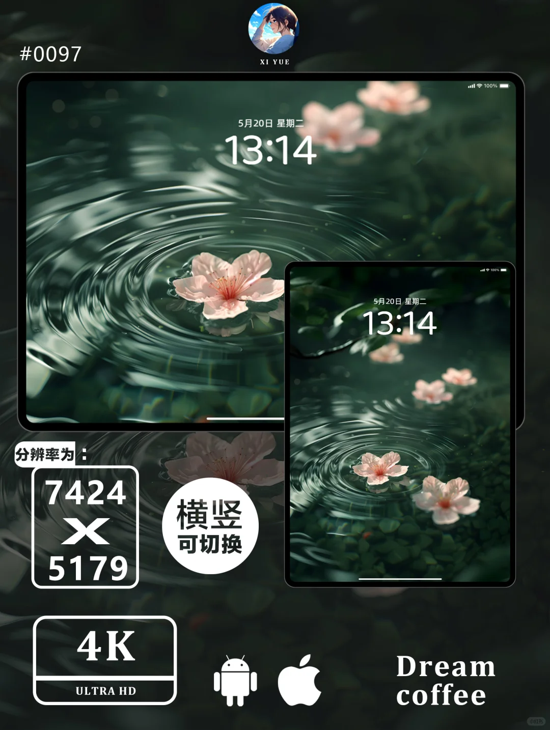 微风送樱落｜高清壁纸