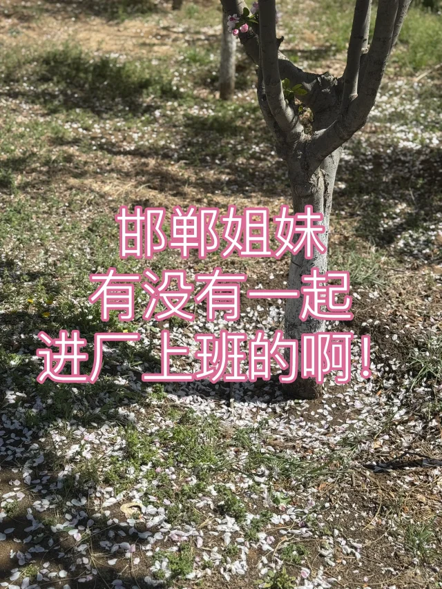 邯郸进厂 进厂过渡一下