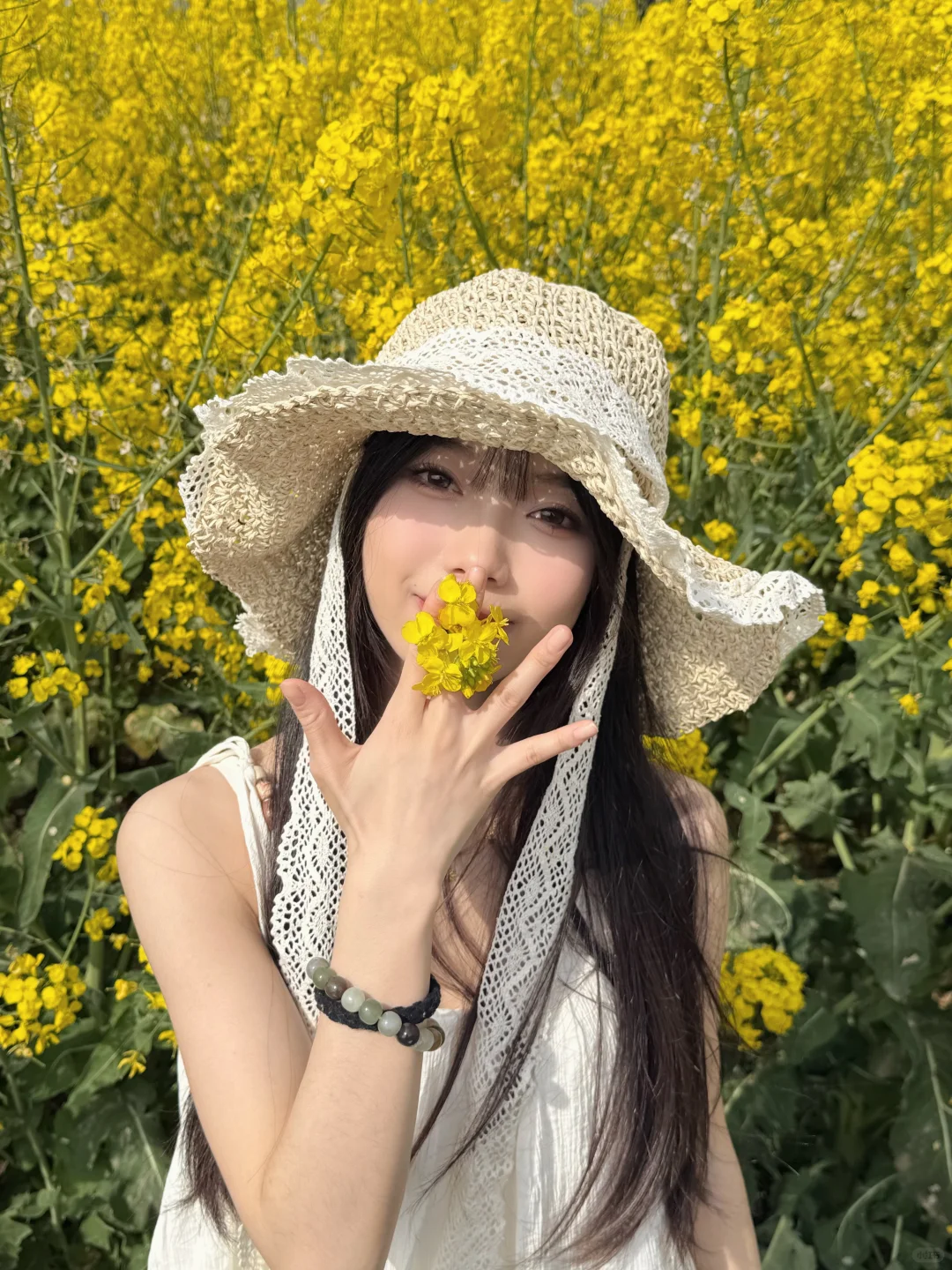 油菜花花