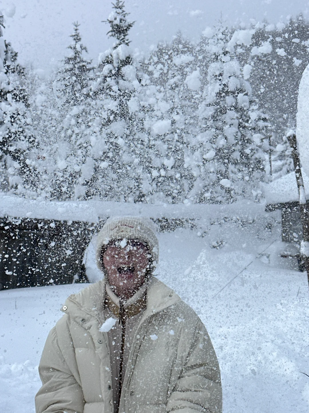 冬日记忆❄️