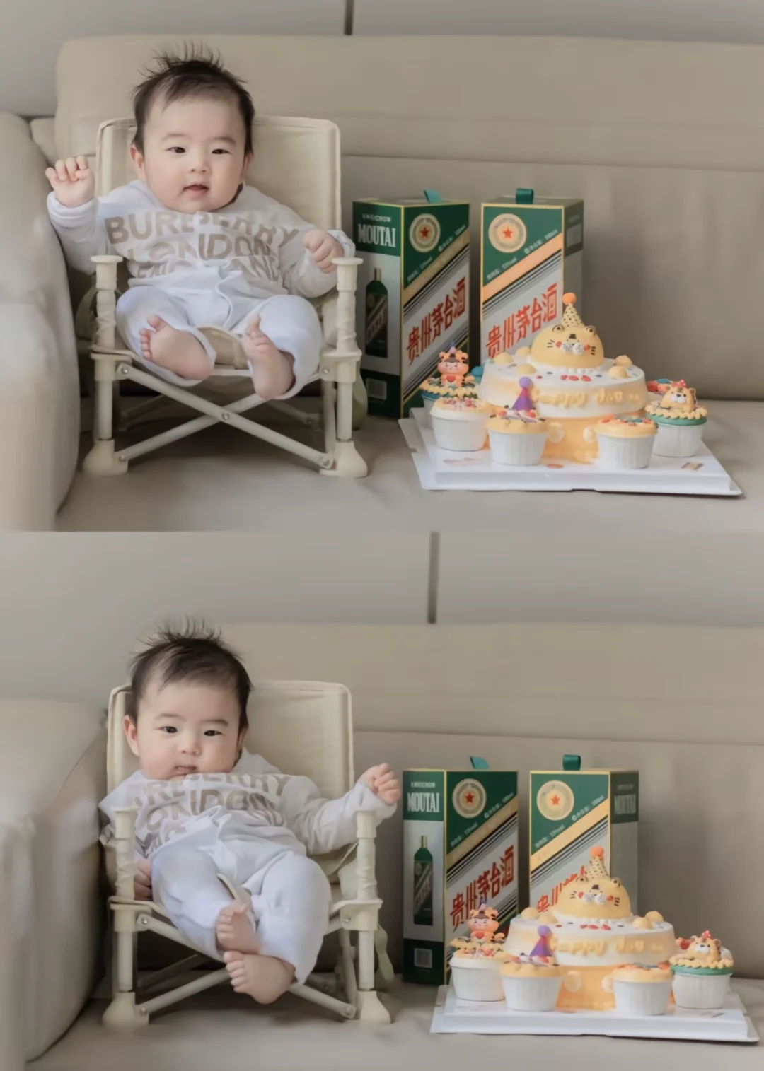 哪些是阿蛋的铁粉啊