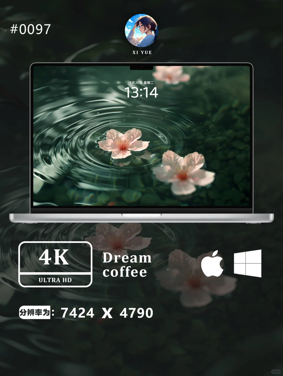 微风送樱落｜高清壁纸
