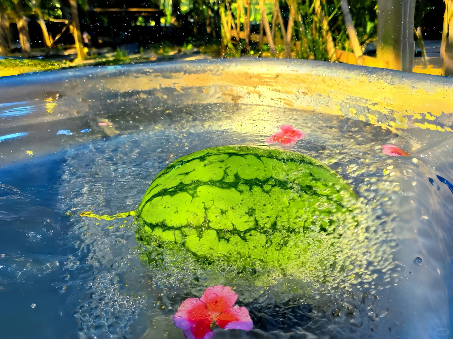 iPad花海壁纸