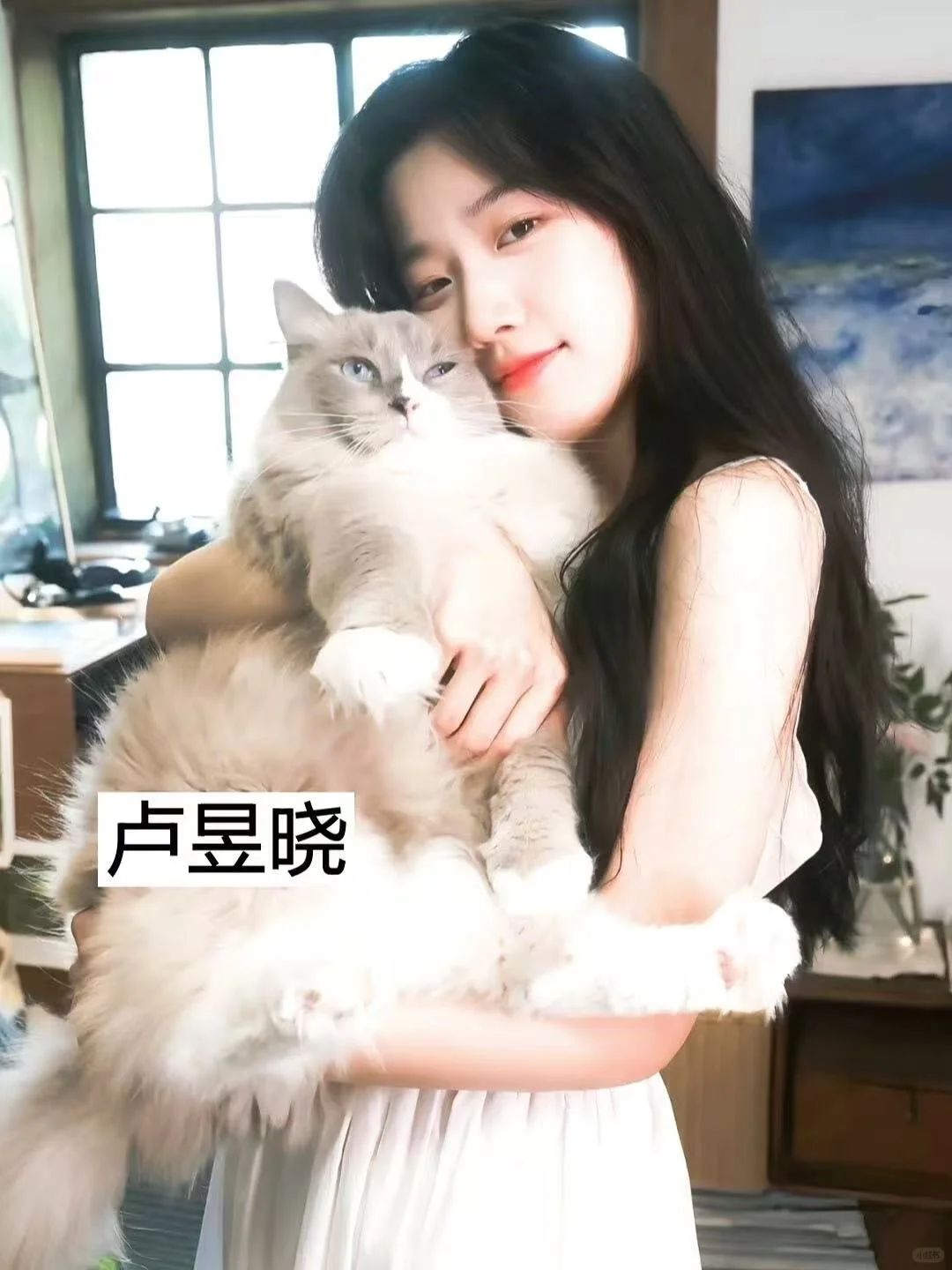 00后都在追的女明星有你喜欢的吗