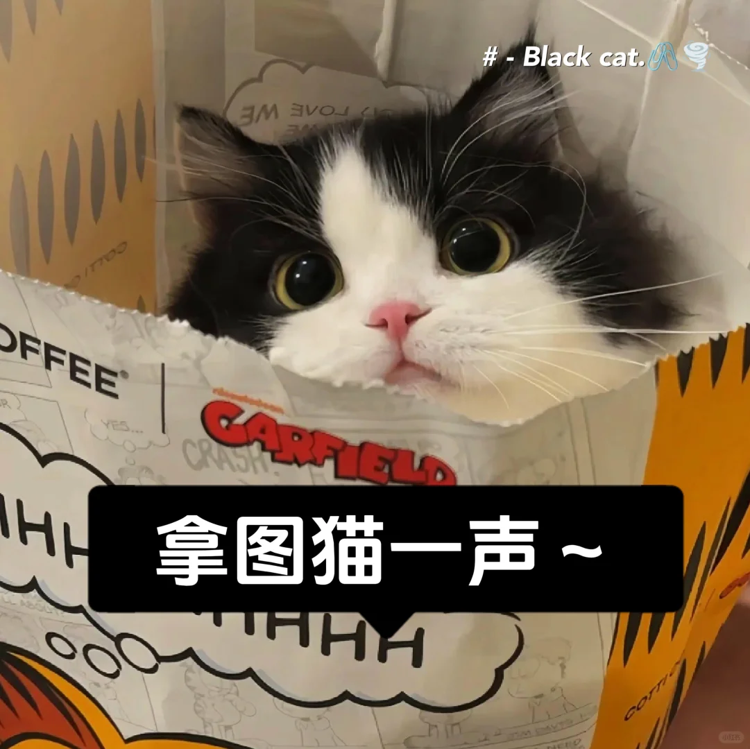 𝙒𝙚𝘾𝙝𝙖𝙩春日明媚系女头