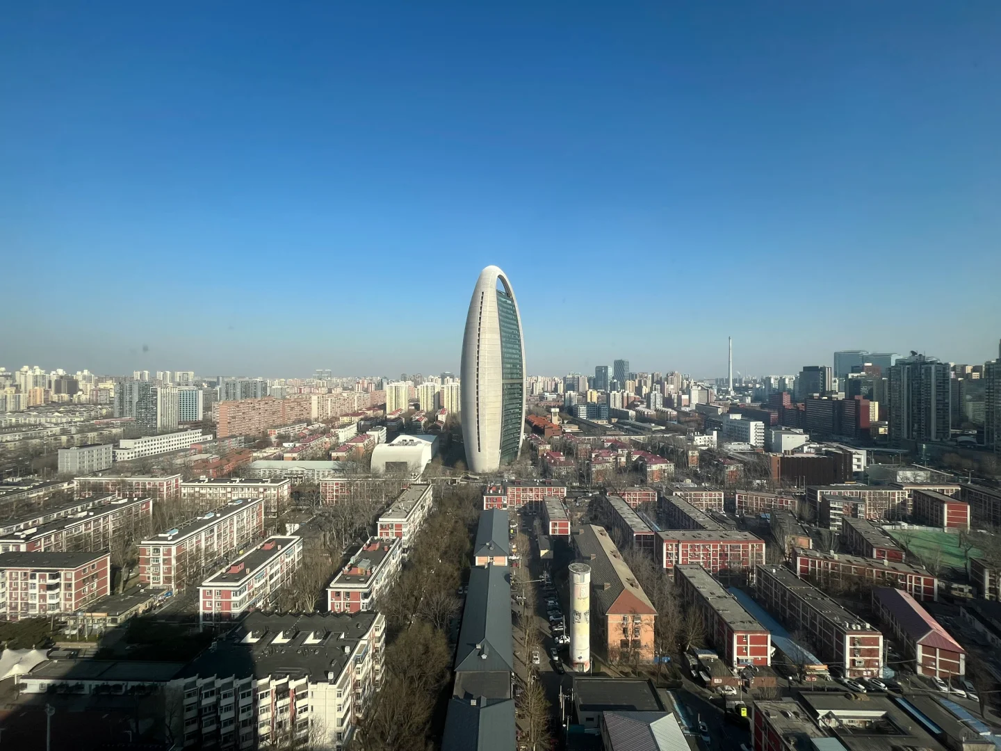 年少时果然不能遇到太惊艳的领导