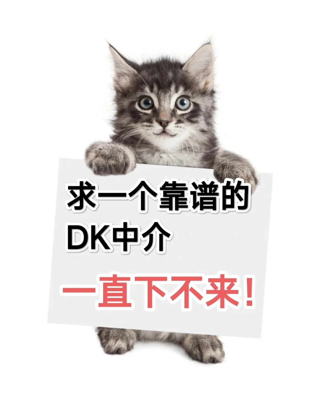 求一个靠谱的DK中介，一直下不来
