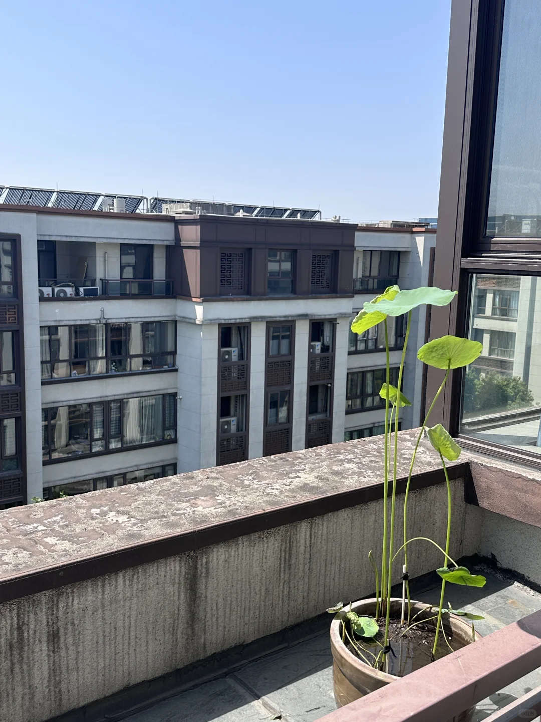 尽情享受阳光吧☀️