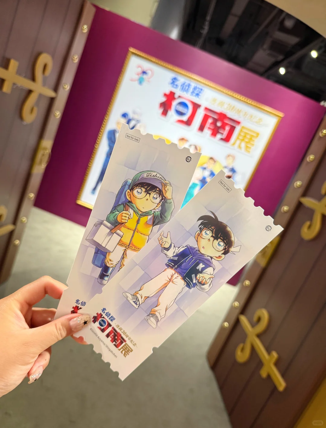 我来啦～❗