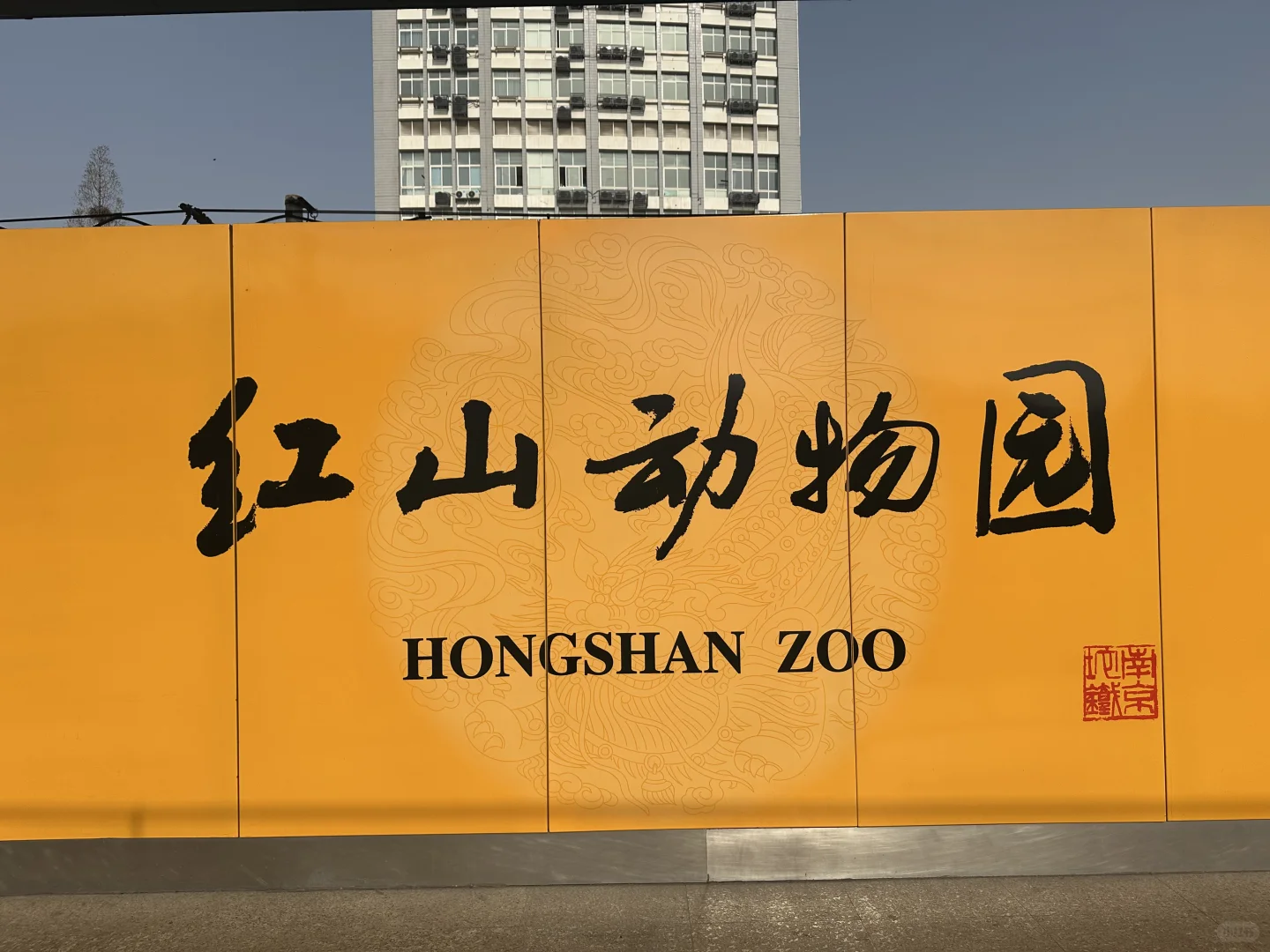 copy了璐璐的穿搭