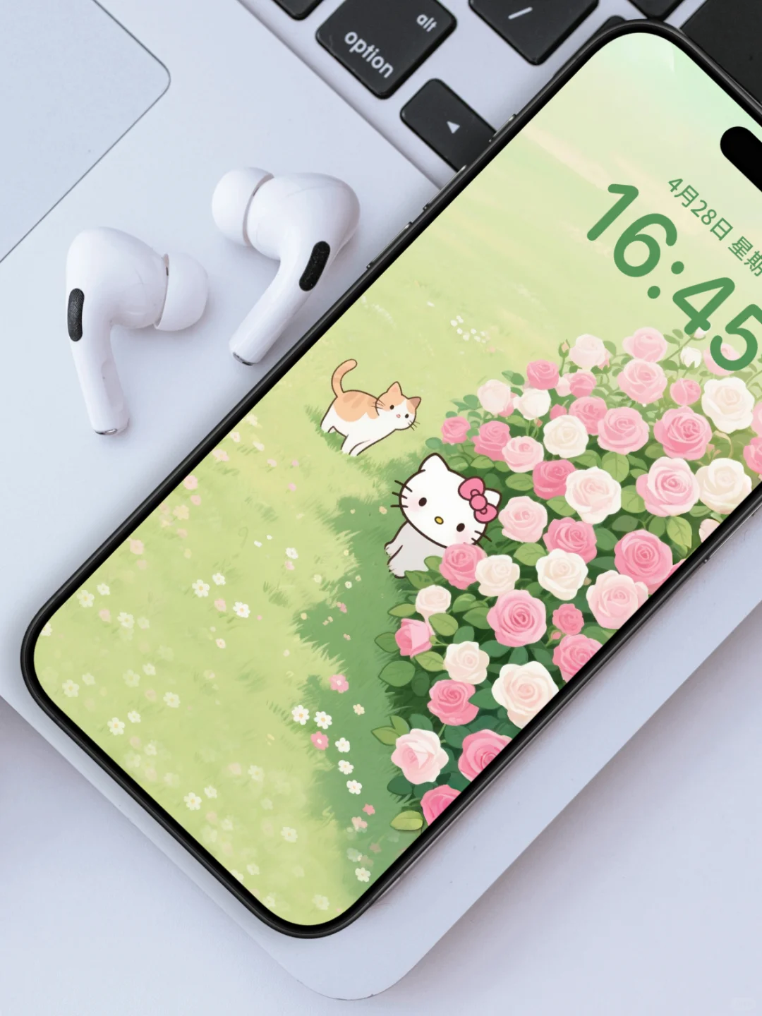 芬芳月季🌺hello Kitty，手机壁纸I5