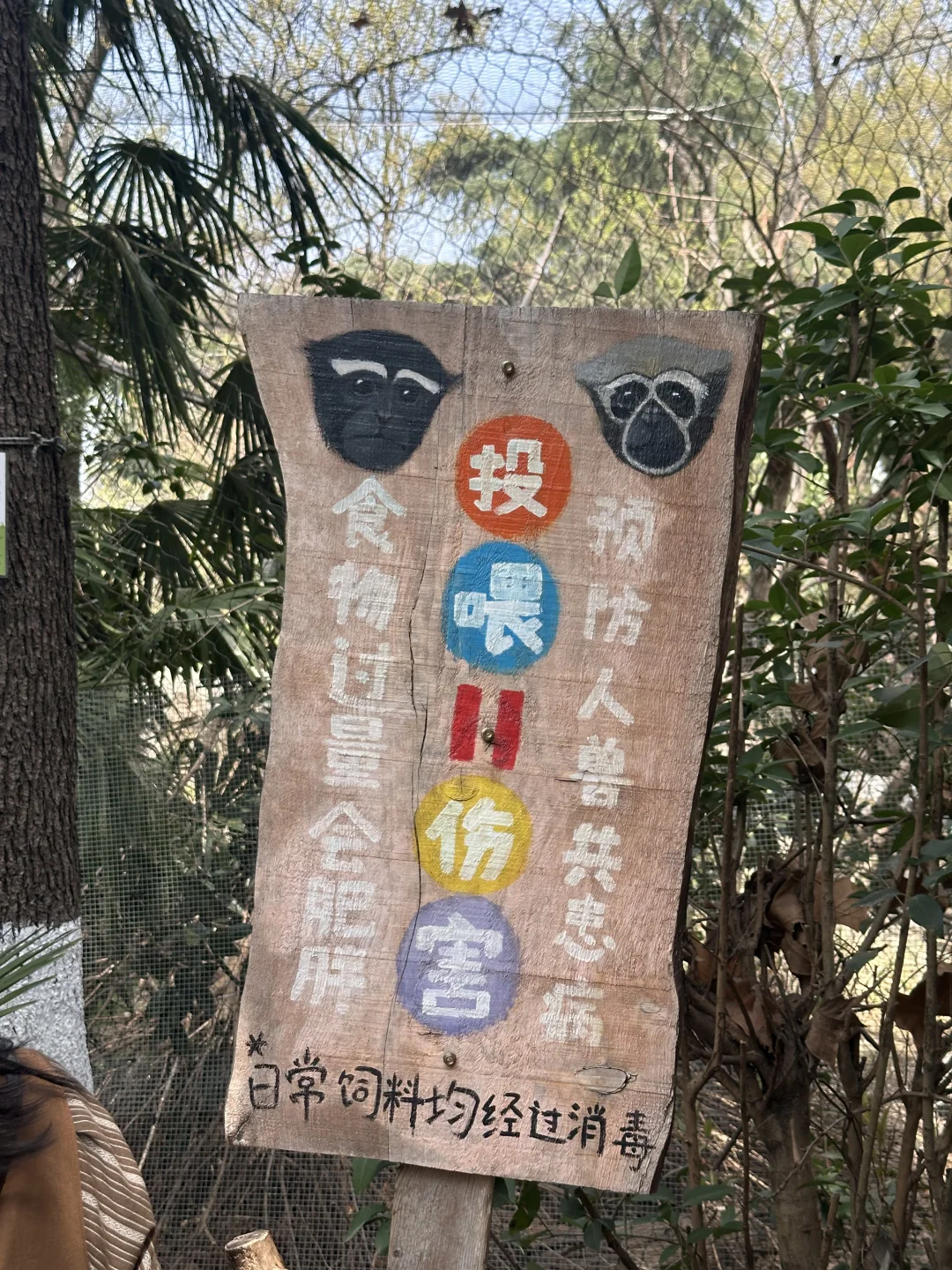 copy了璐璐的穿搭