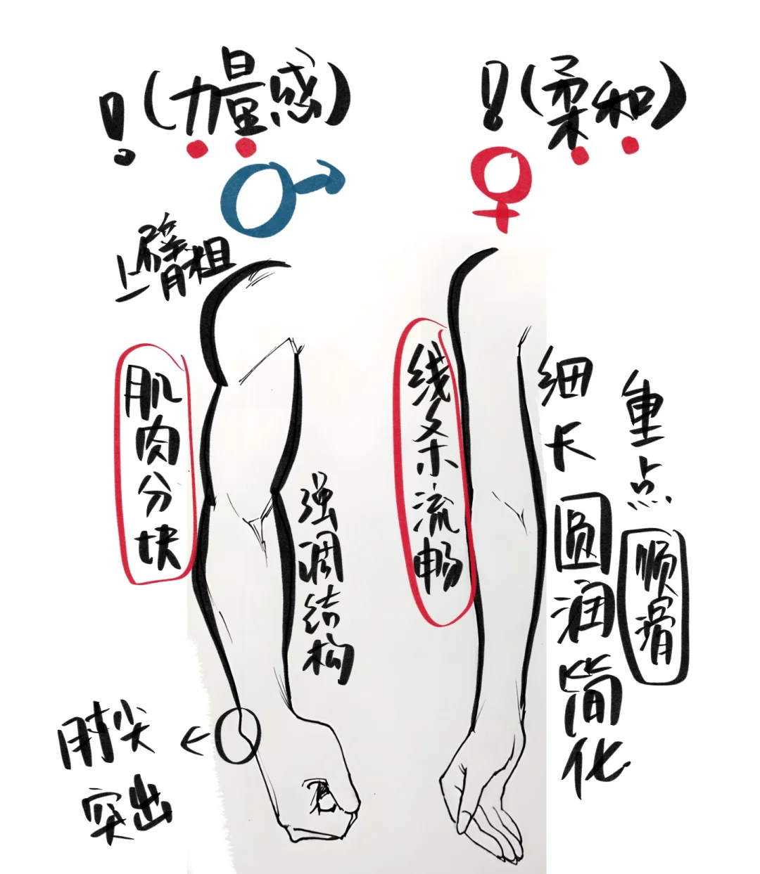 男女手臂的绘画差异干货提炼，快收下