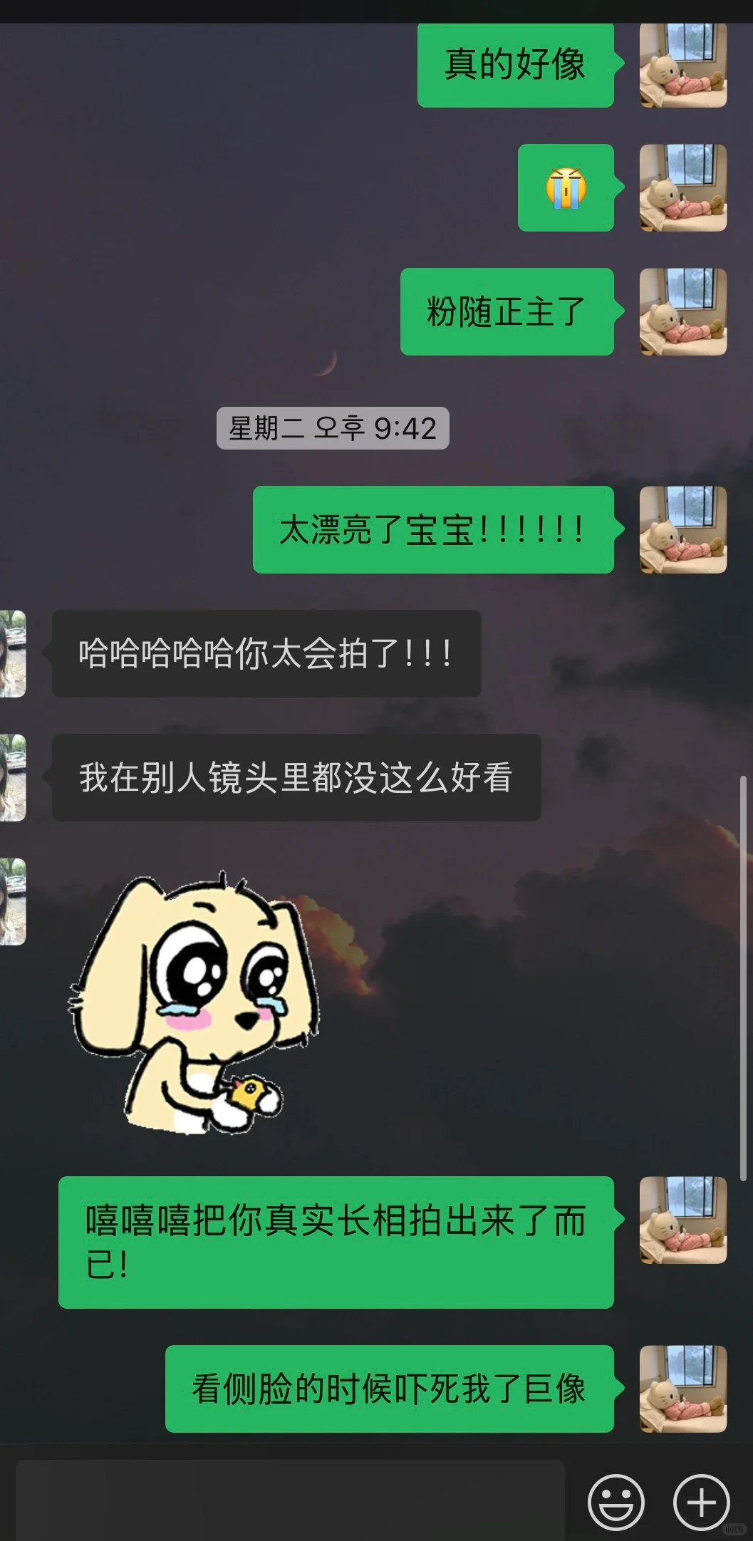 🤓表面上是地陪 实则是陪拍｜看图片猜粉籍