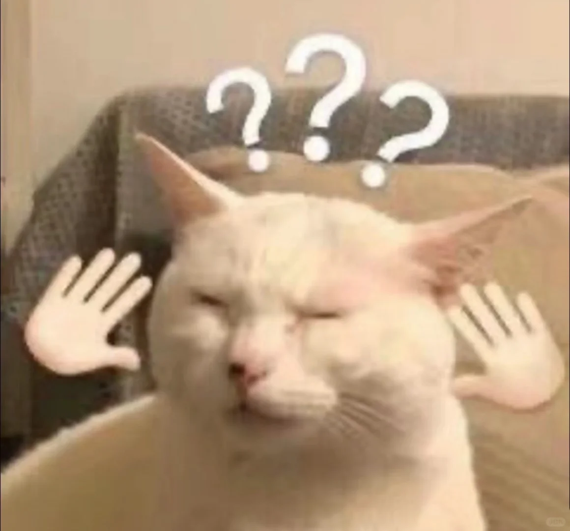 🇲🇾不是很懂现在的小妹妹打工心态（吐槽