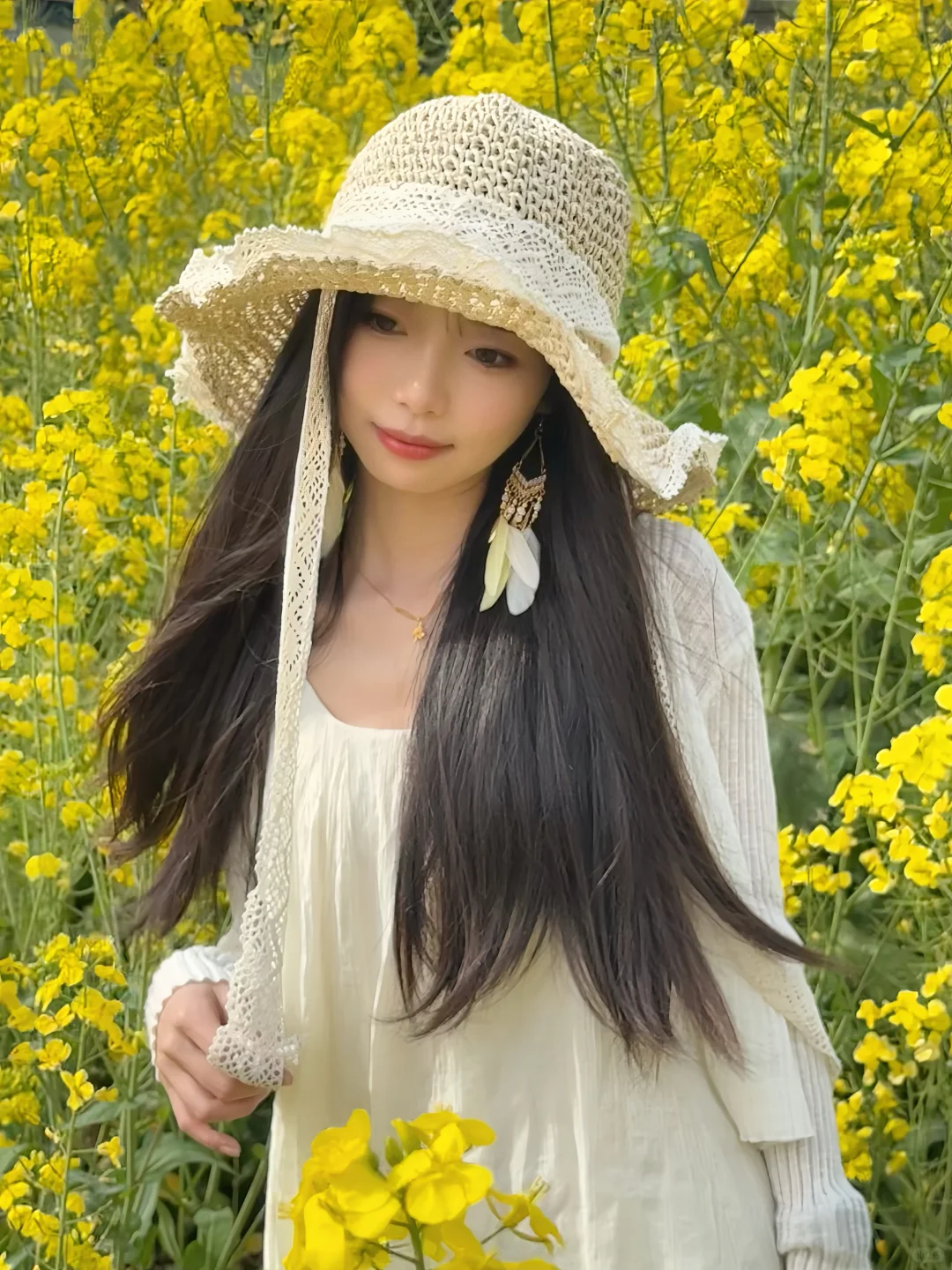 油菜花花