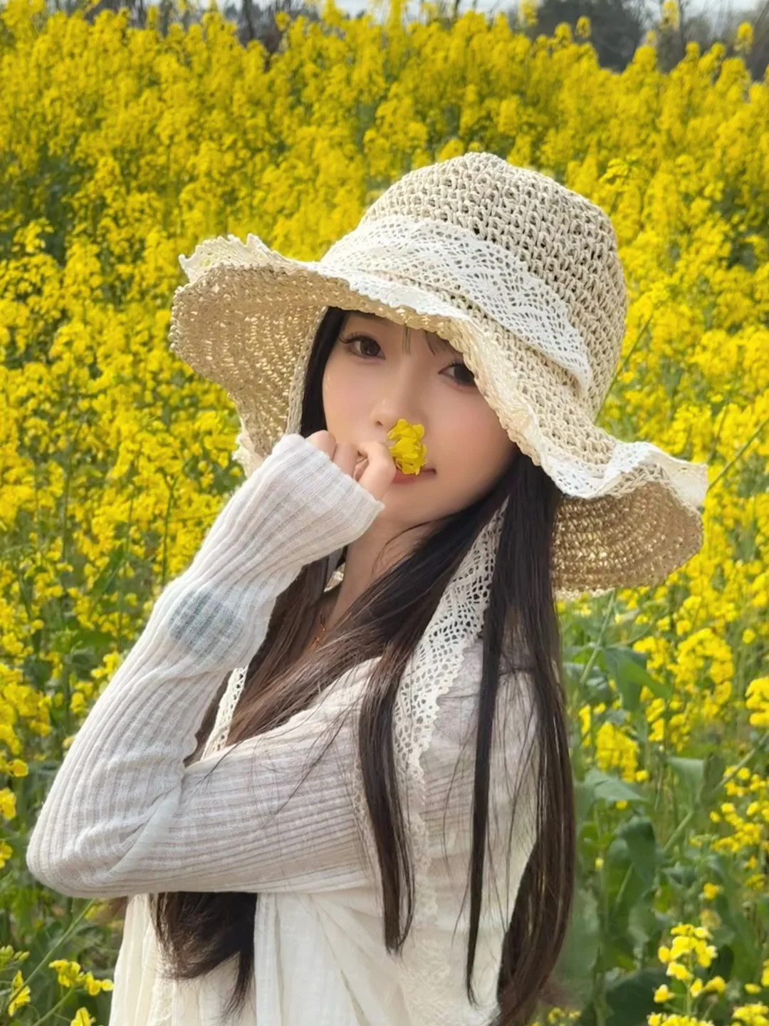 油菜花花