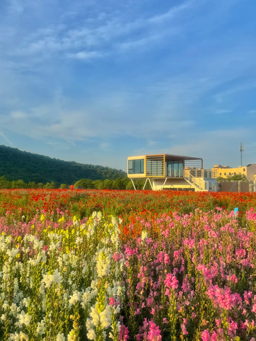 杭州市政: 万一他们想在这里结婚呢💒💐🫧