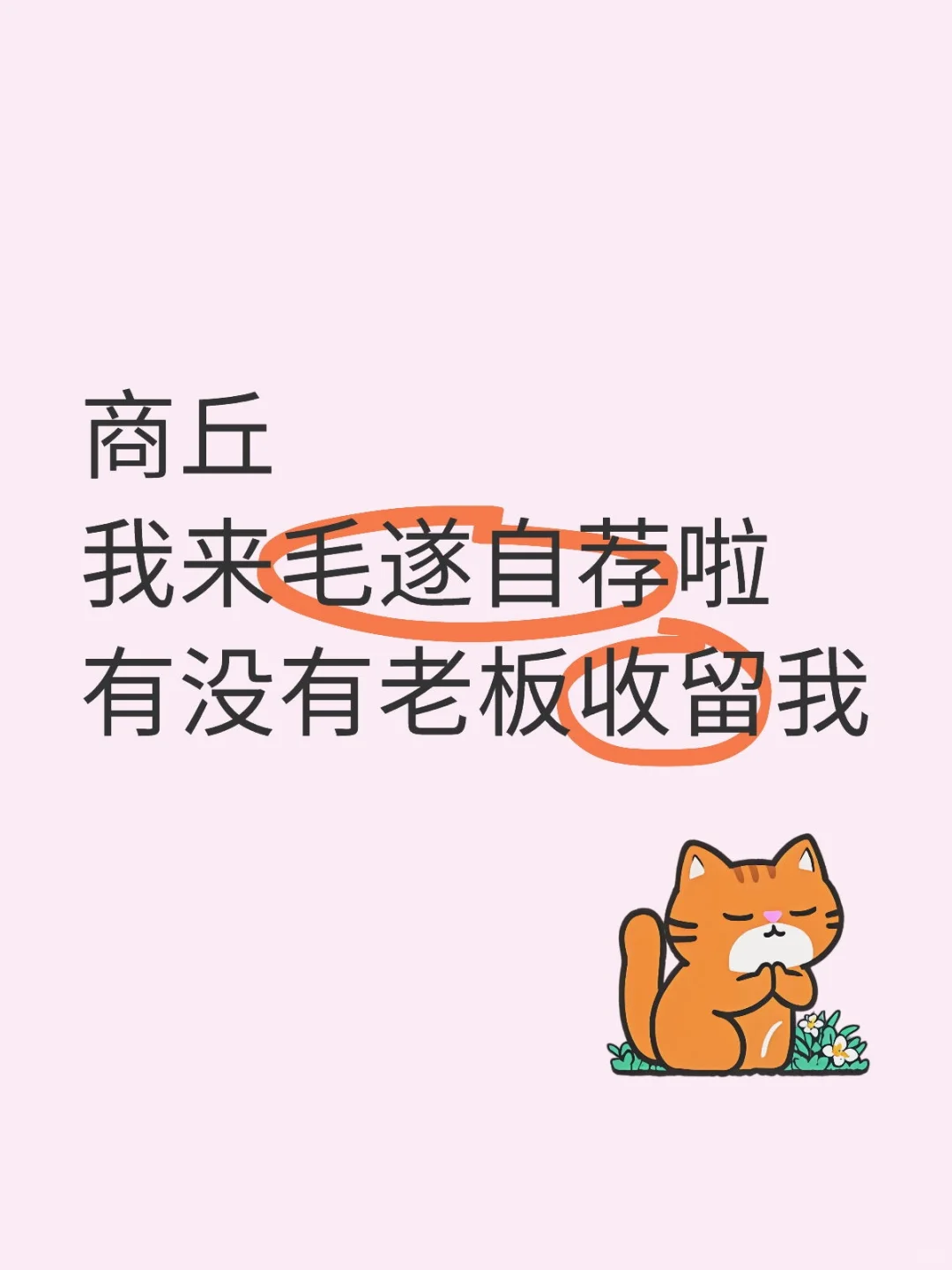 商丘市区 有没有老板招聘～