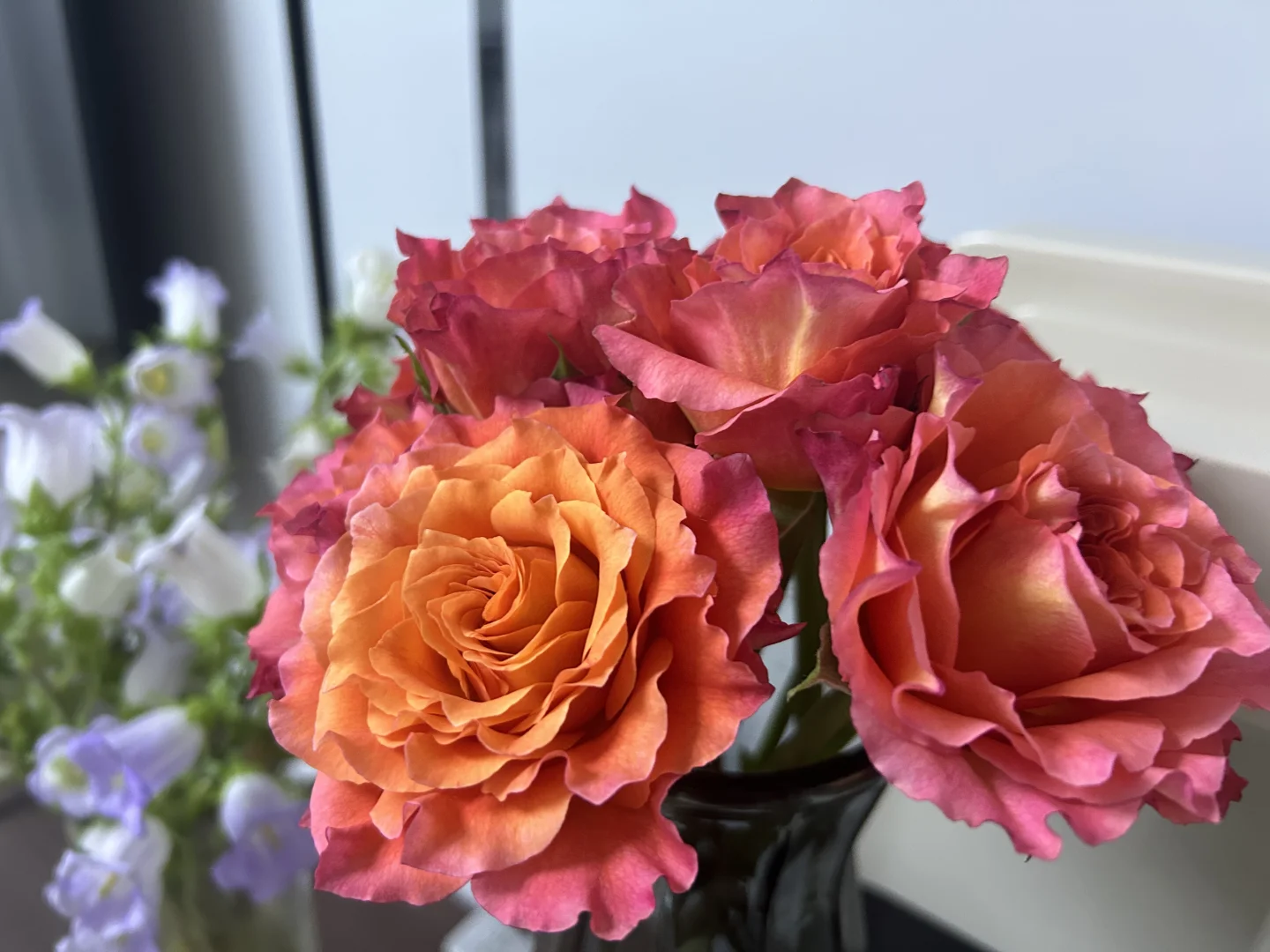 花花写真集