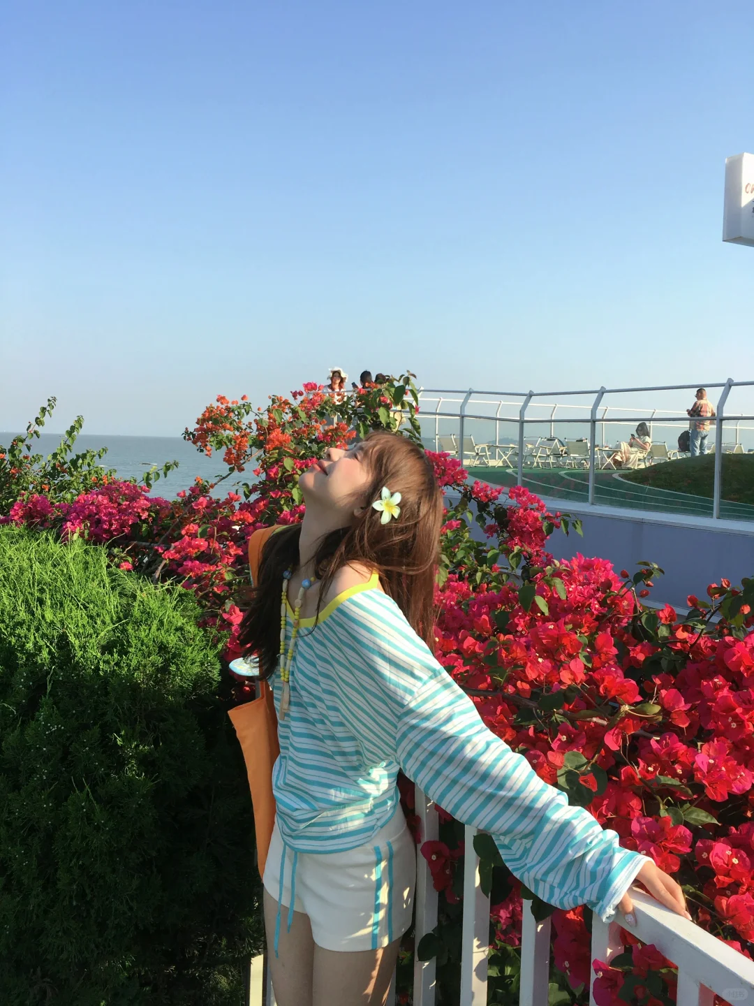 海边刚诞生的夏天˚ 