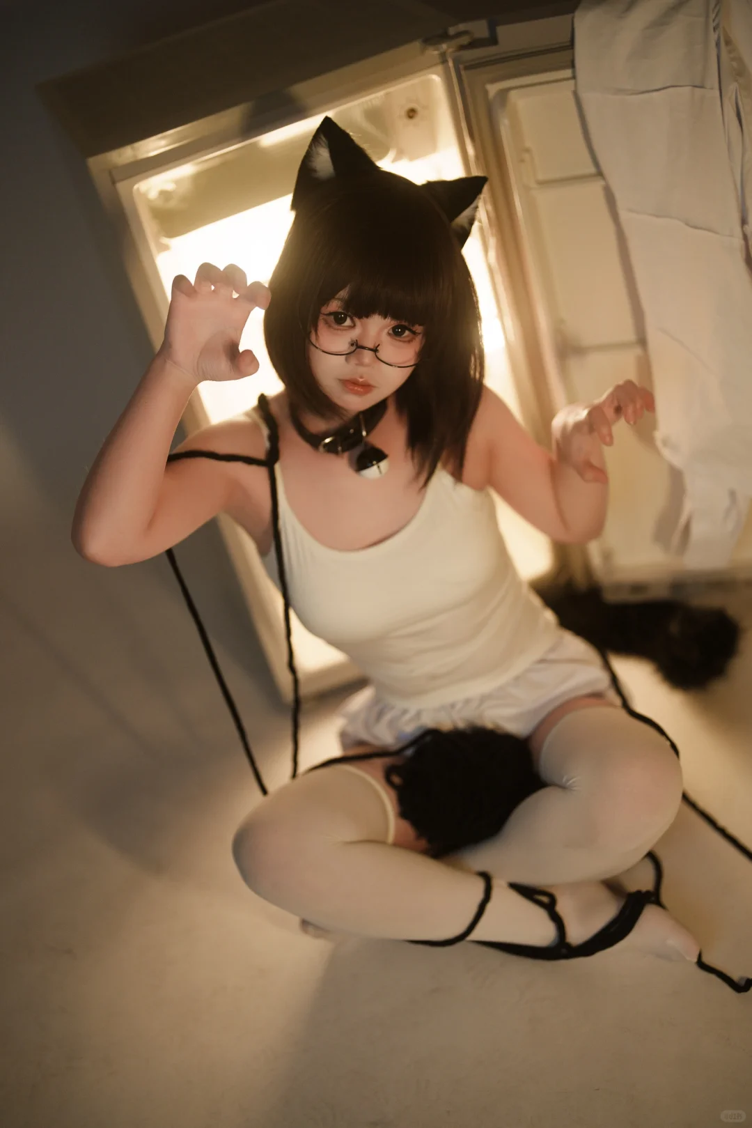 冰箱猫猫🐱