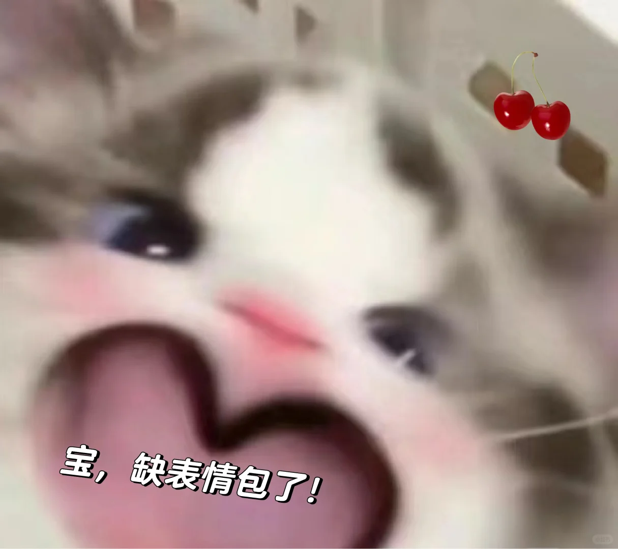 给点表情包