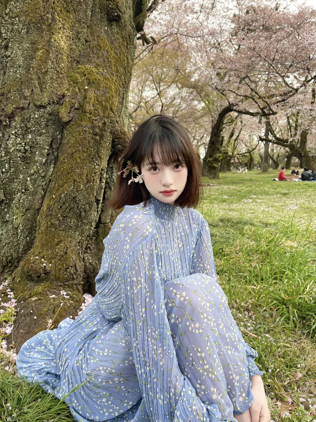 我的年度九图✨