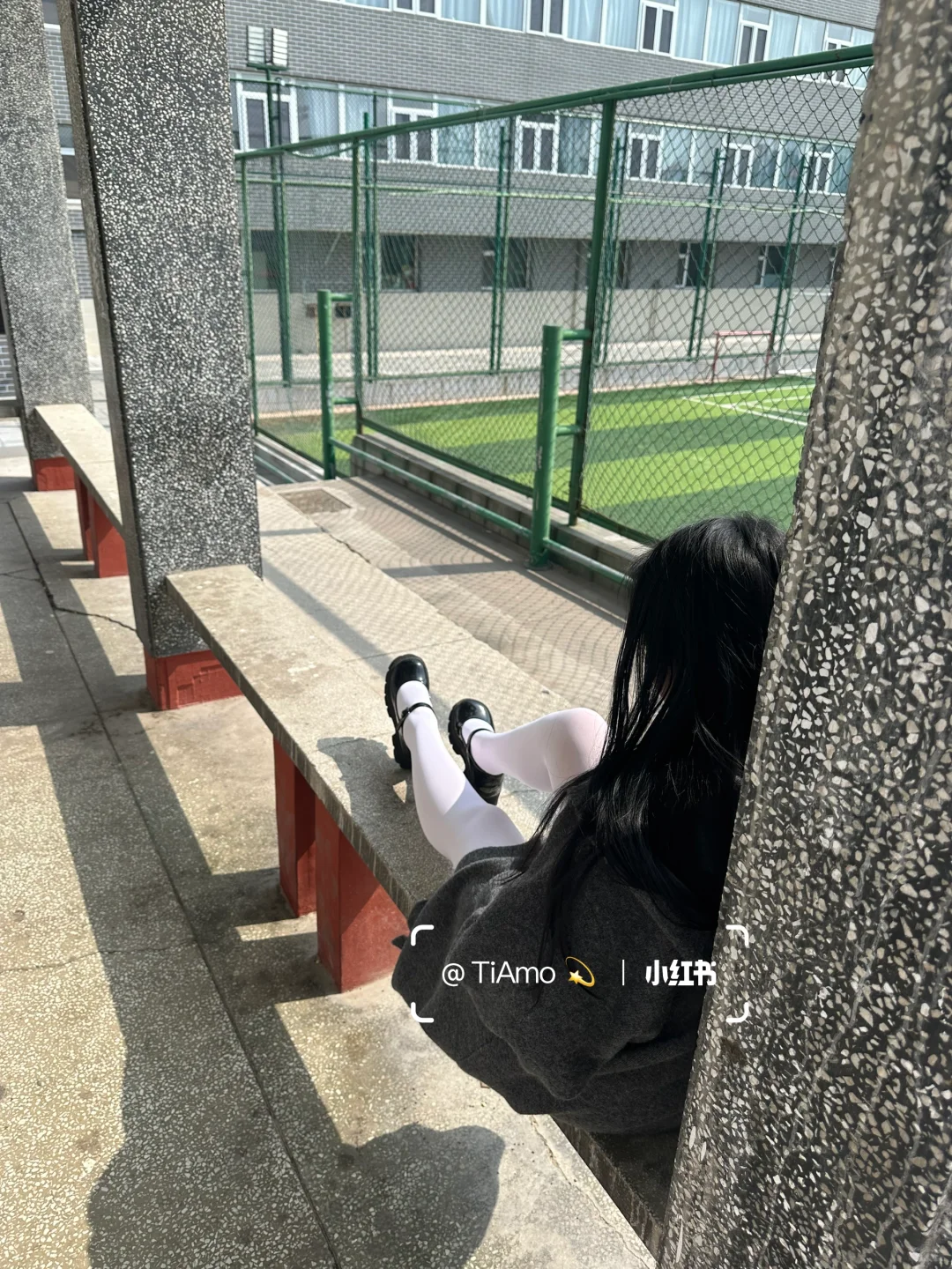 和阳光、树一起拍的校园