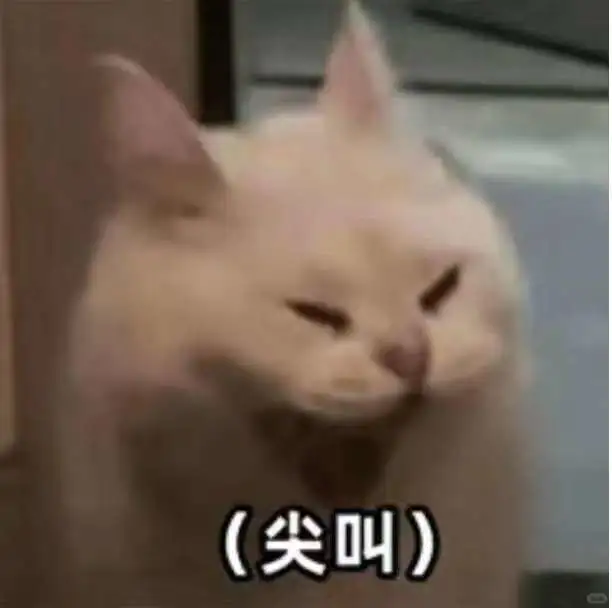 坏坏的小猫表情包！
