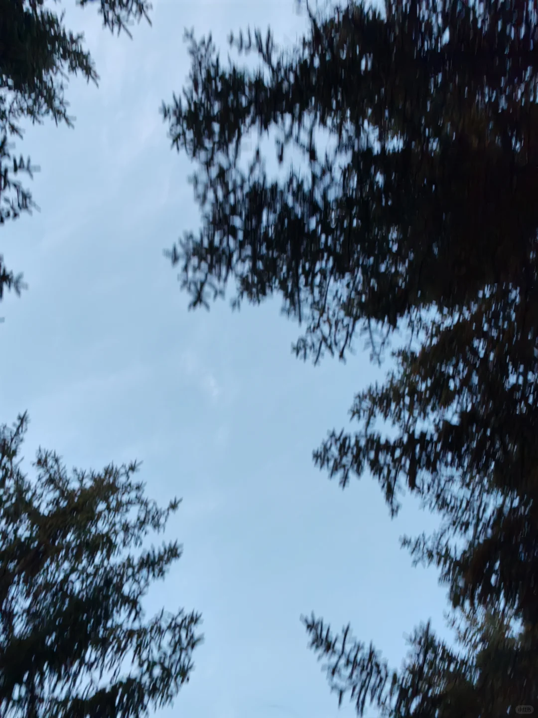 争做文明新青年，拒绝凰色，从我做起