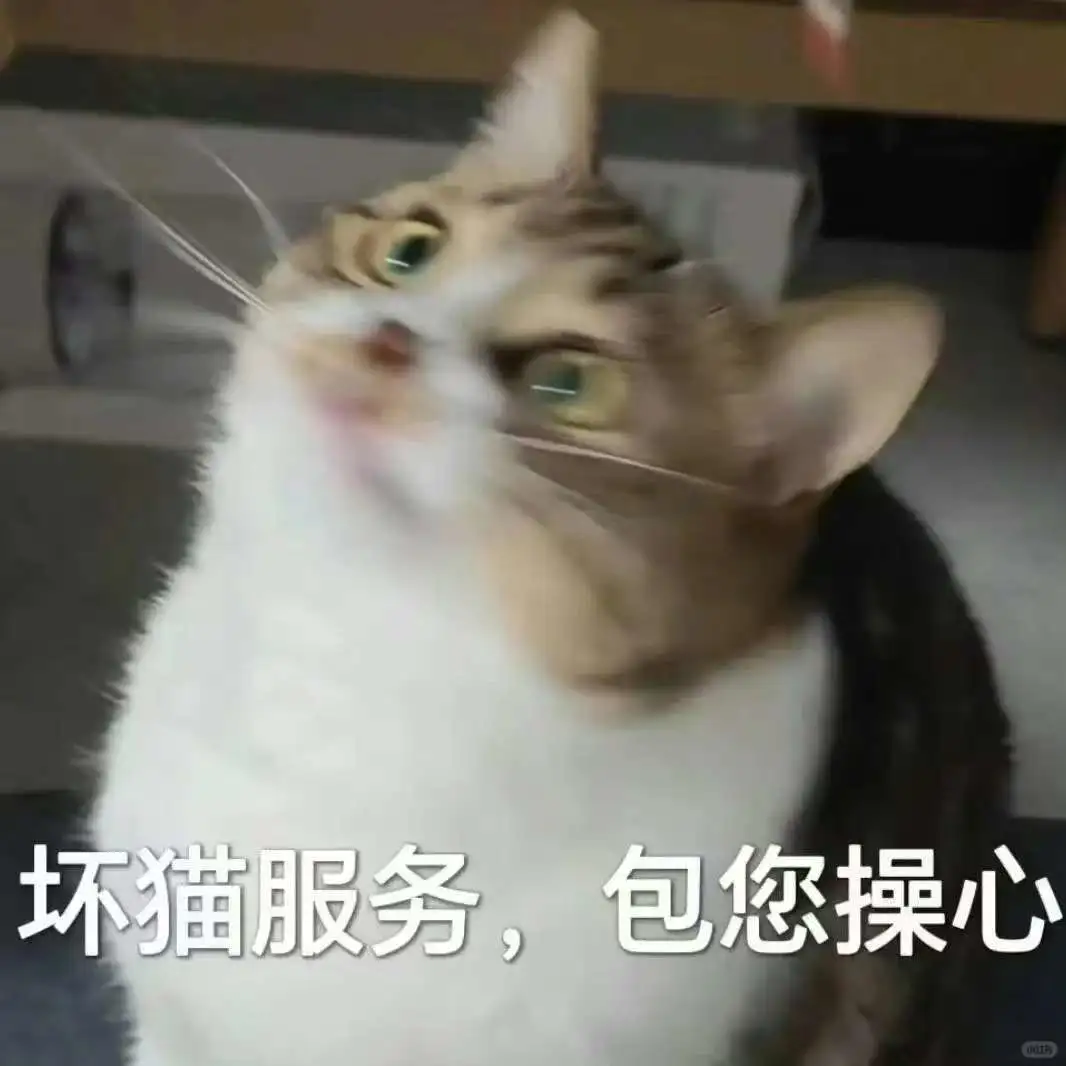 坏坏的小猫表情包！