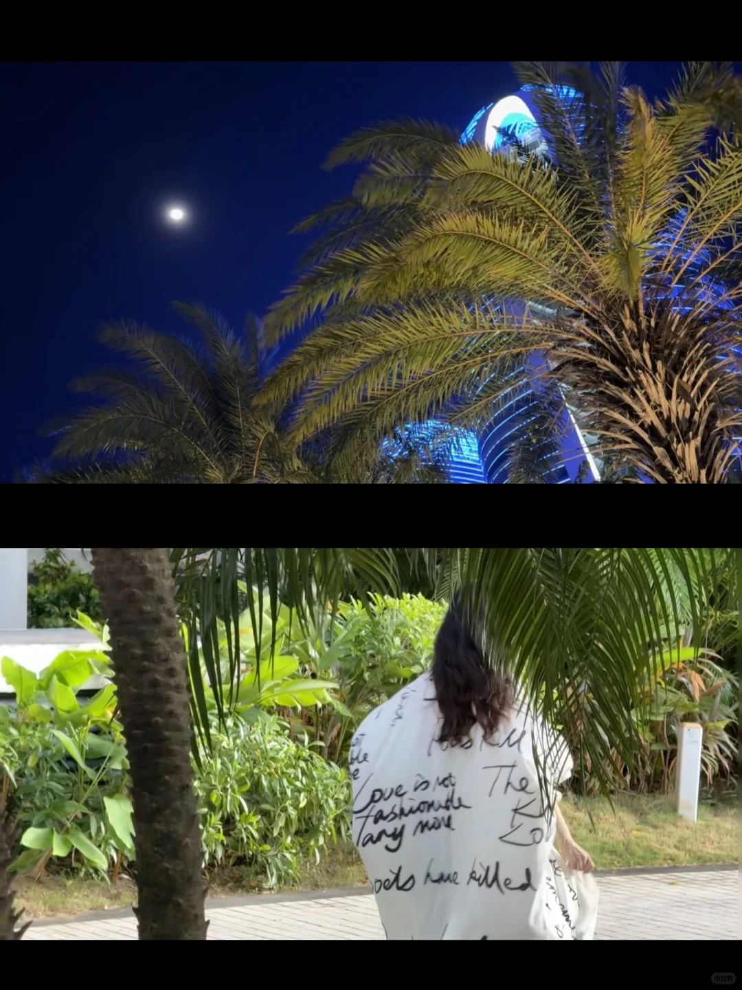 十二月，随身携带着春天