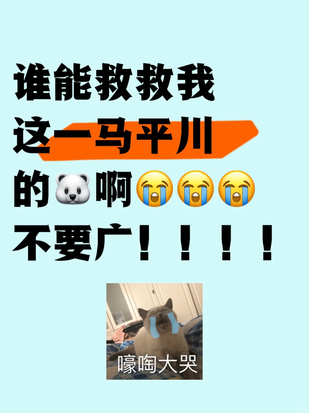 谁能救救我这一马平川的🐻‍❄️啊😭不要广！
